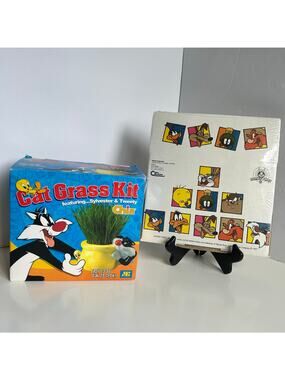 Looney Tunes Tweety Chia Planter Ceramic w Box + Vintage Shipping Box